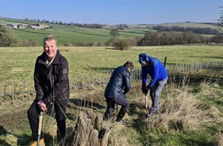 Tree planting